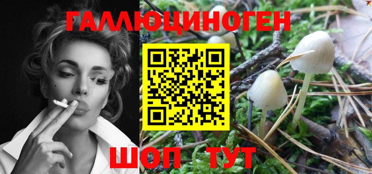 Десногорск  Галлюциногенные грибы Psilocybe  Псилоцибиновые грибы MAGIC MUSHROOMS  Вход с VPN 